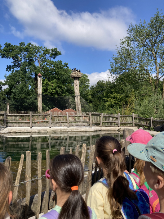 1b bei den Pinguinen (und Störchen)