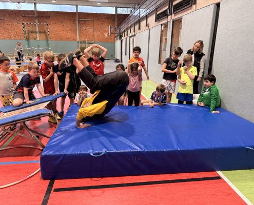 Zirkus 1