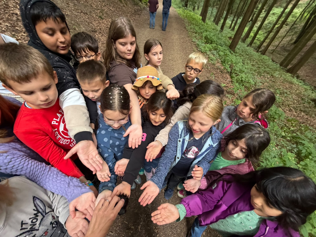 Wald 4a 3