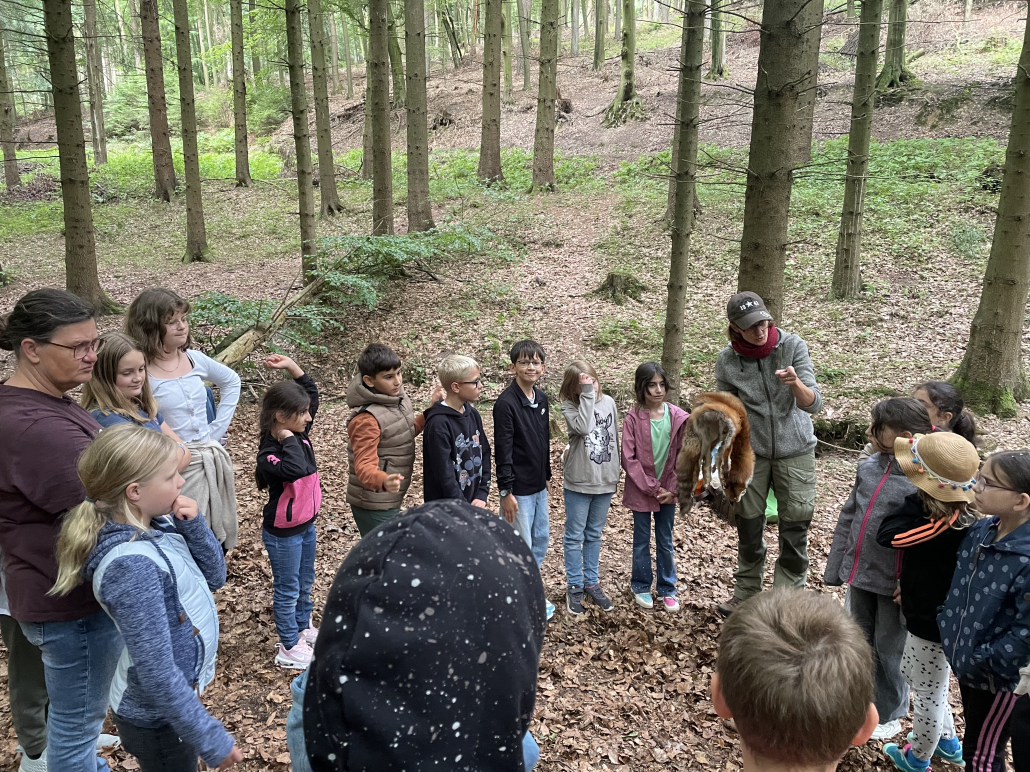 Wald 4a 1