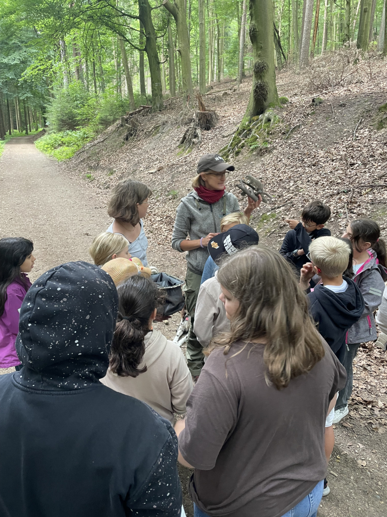 Wald 4a 2