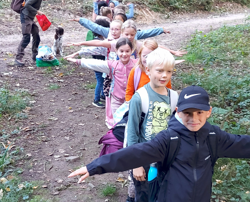 Wald 3a 2