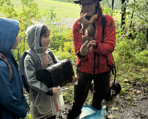 Wald 3b 2