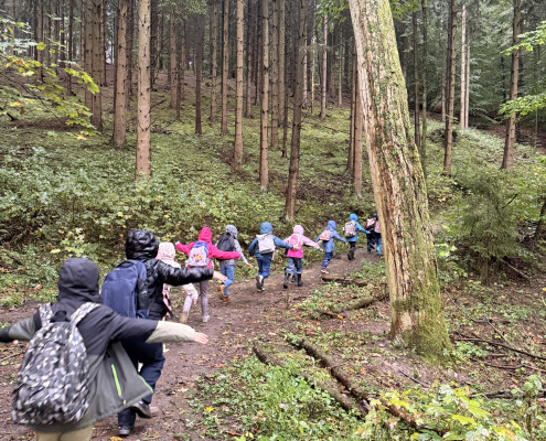 Wald 3b 4