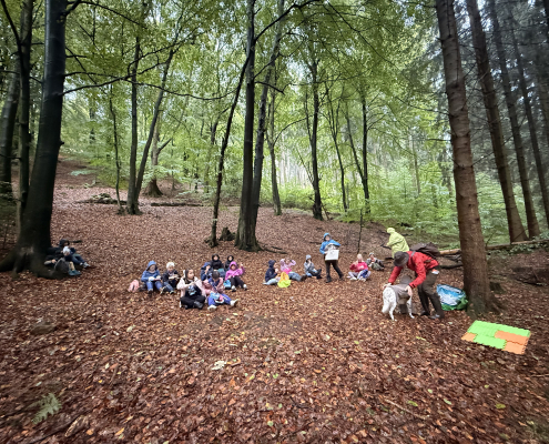 Wald 3b 5