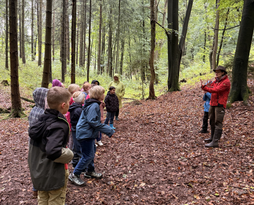 Wald 3b 7
