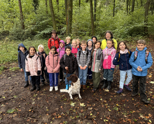 Wald 3b 8