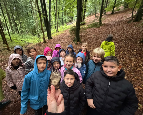 Wald 3b 9